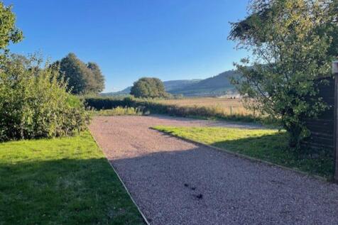 Drive and garden 