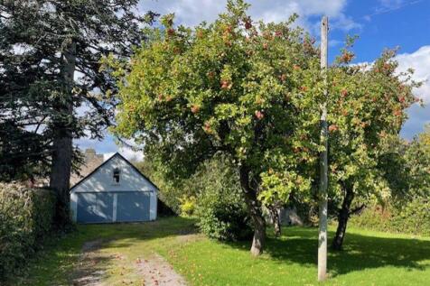 Garden and garage