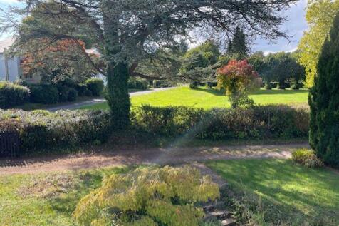 View from garden 