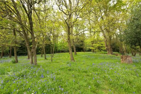 Grounds