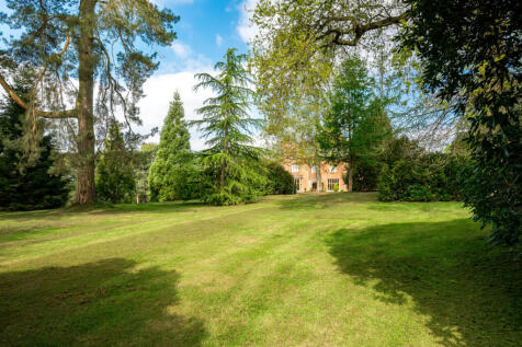 Grounds