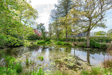 Pond