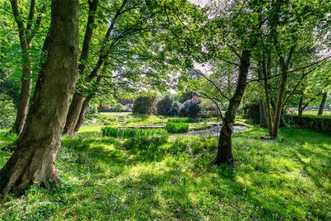 Established Woodland