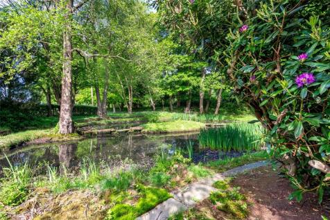 Pond &amp; Woodland