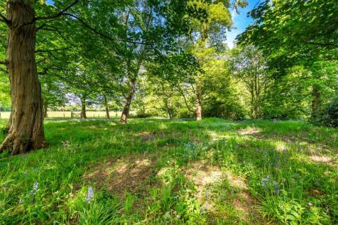Established Woodland