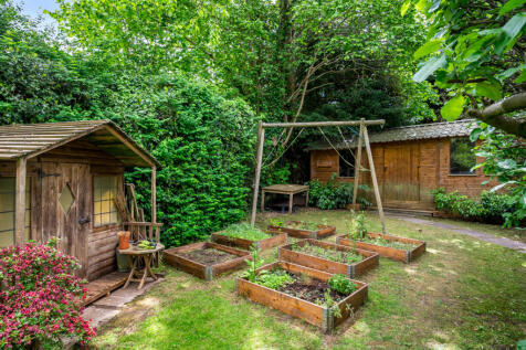 Vegetable Patch