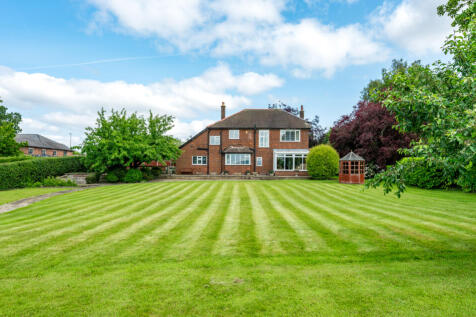 Grounds