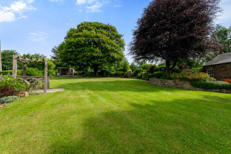 Rear Gardens