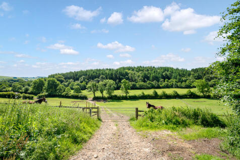 Pasture Land