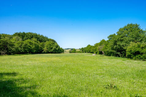 Extensive Grounds