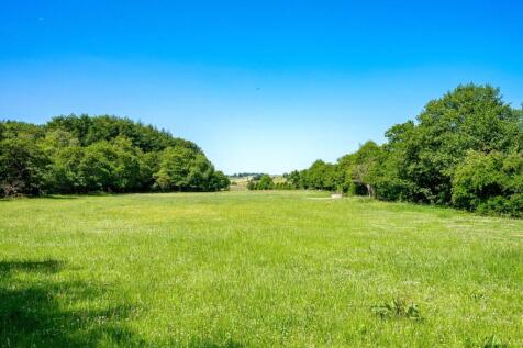 Extensive Grounds