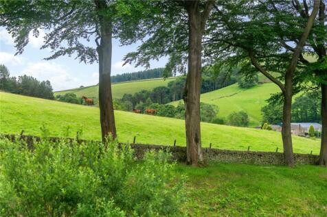 Meadow