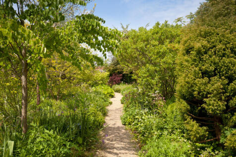 Woodland Path