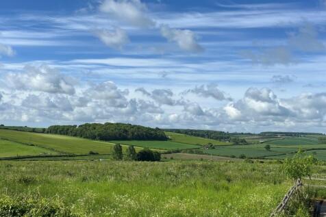 View From The Site