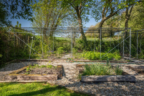 Vegetable Garden
