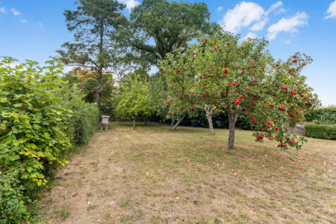 Orchard