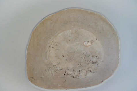 Fossil