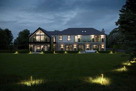 Rear Elevation