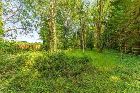 Woodland