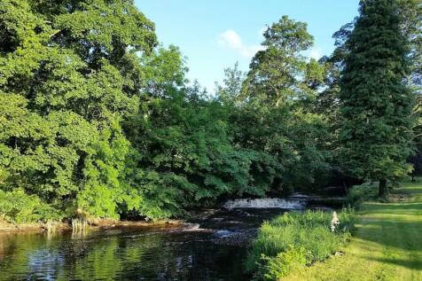 Burton Beck