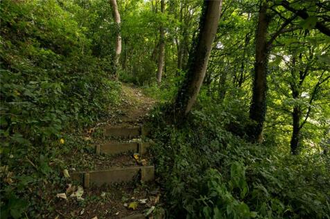 Woodland