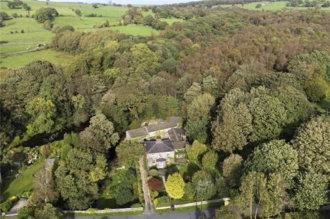 Aerial Shot