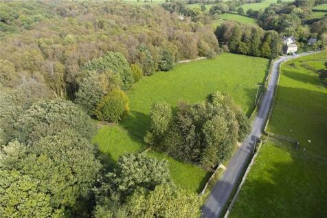 Aerial Shot