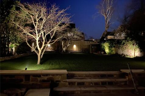 Night Shot
