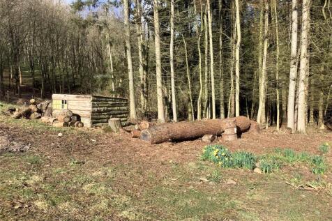 Woodland