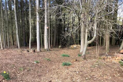 Woodland