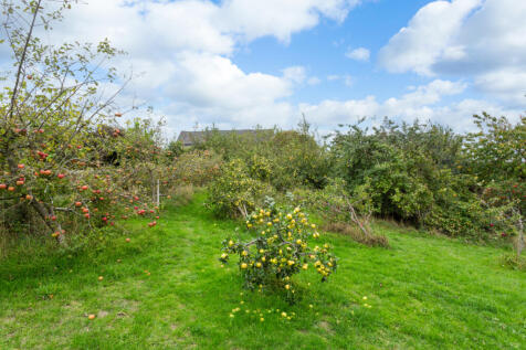 Orchard