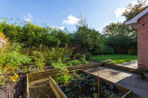 Vegetable Garden
