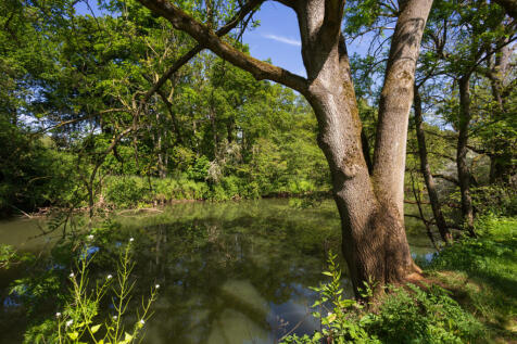 River Derwent