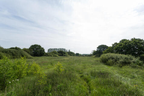 Meadow