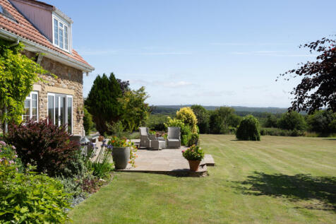 Terrace View