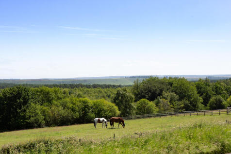 Grazing