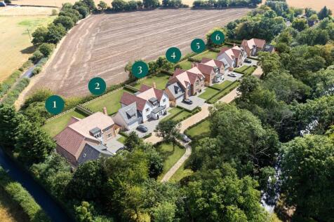 Development Layout
