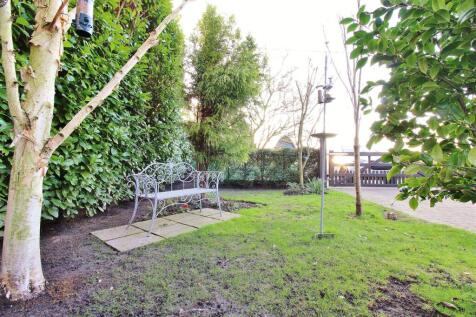 Outside - Rear