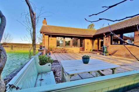 Outside - Rear