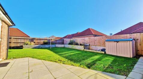 Outside - Rear