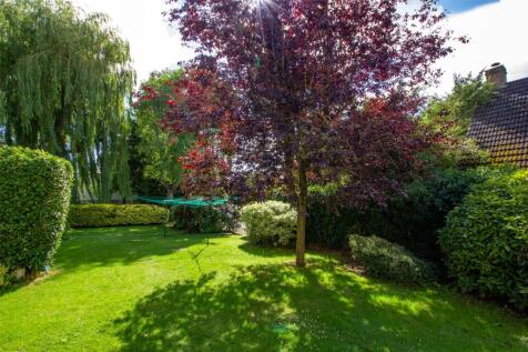 Communal Garden