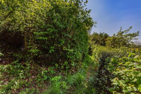 Property Image 52