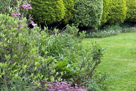 Property Image 49