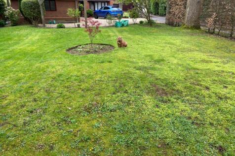 Property Image 75