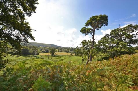 Parham Park