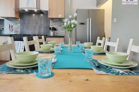 480243ee-23 20alex.jpg