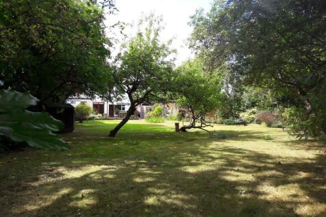 Garden.jpg