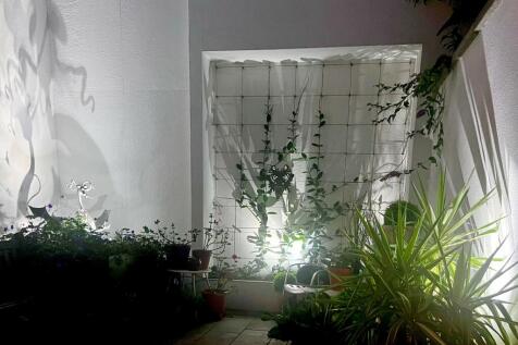 Night Shot