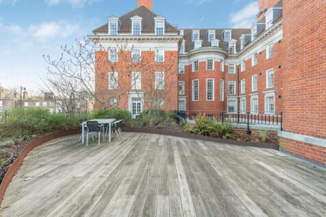Shared Terrace