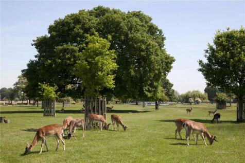 Bushy Park